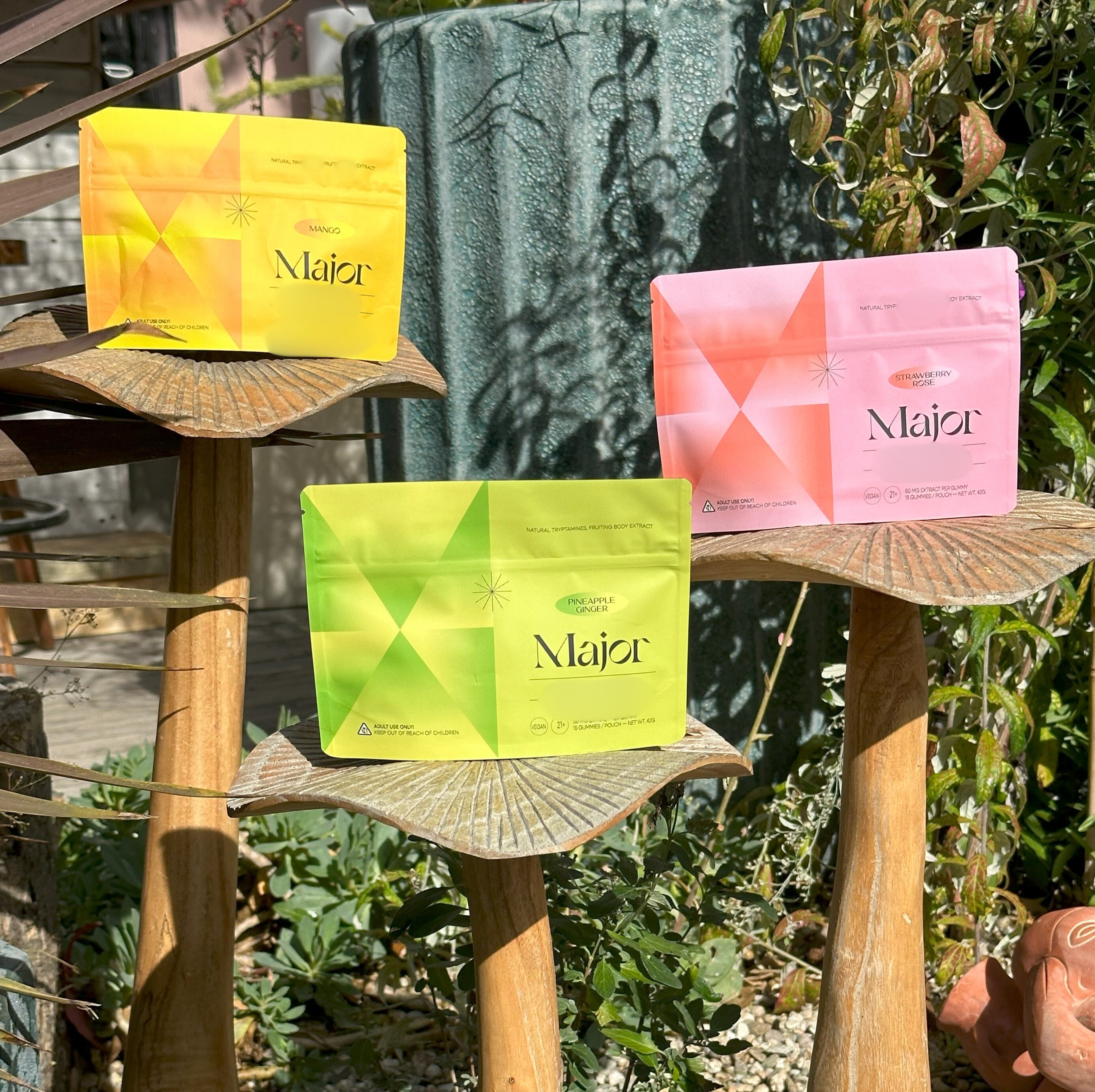 Variety Bundle - 1 of each flavor (4 packs total)