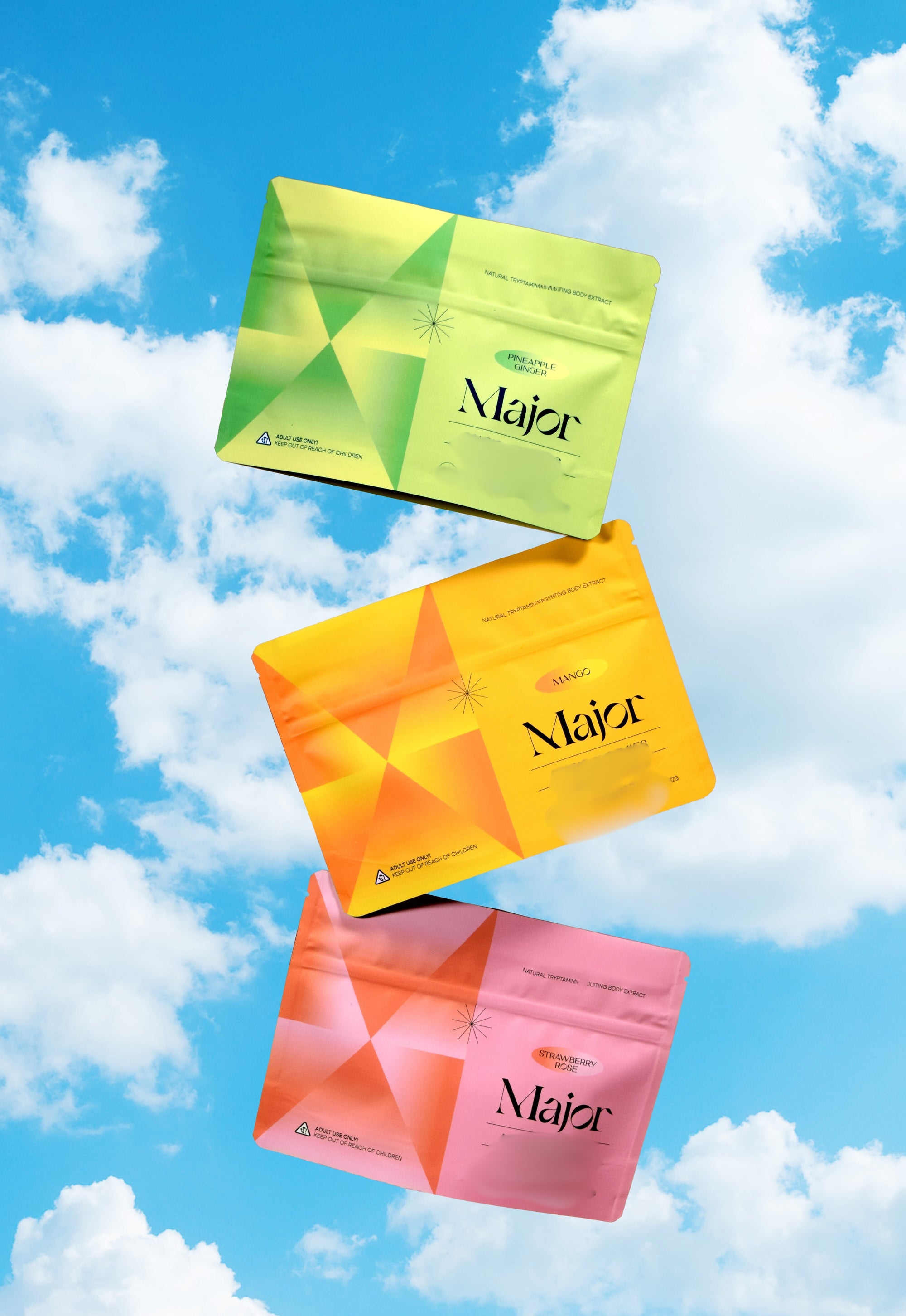 Variety Bundle - 1 of each flavor (4 packs total)