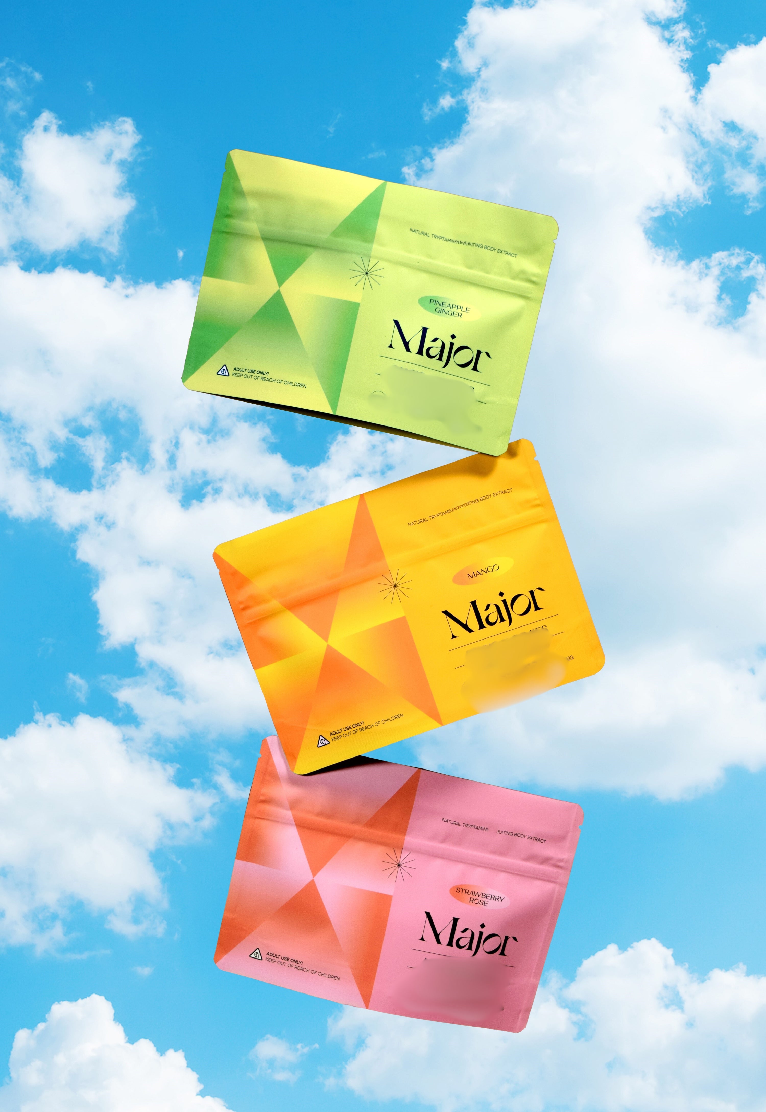 Variety Bundle - 1 of each flavor (4 packs total)